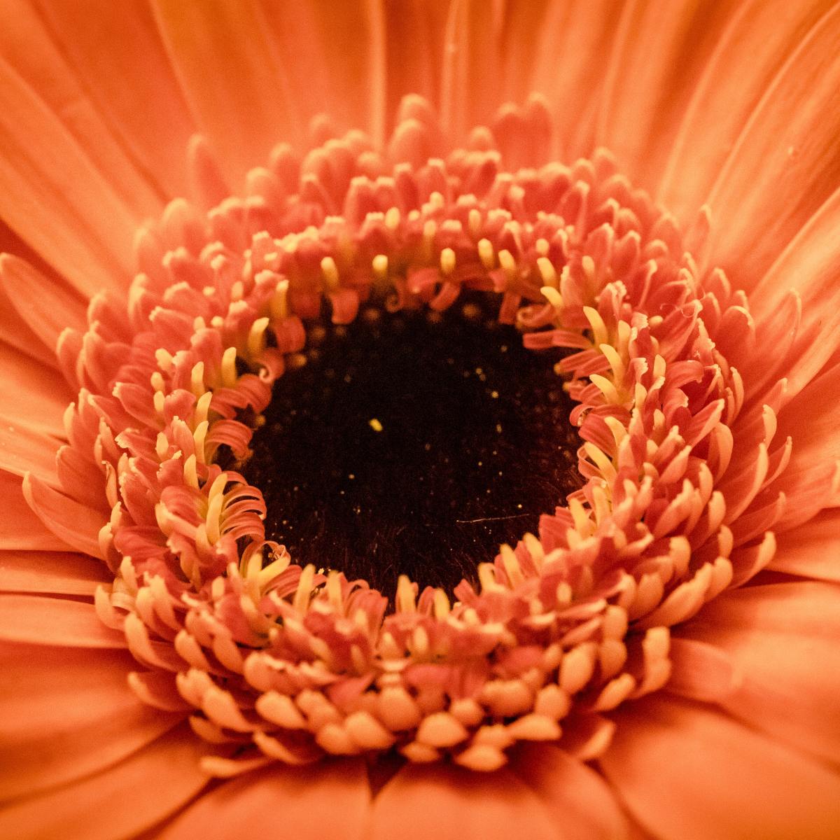 Devotional: You Are His&nbsp;Masterpiece!