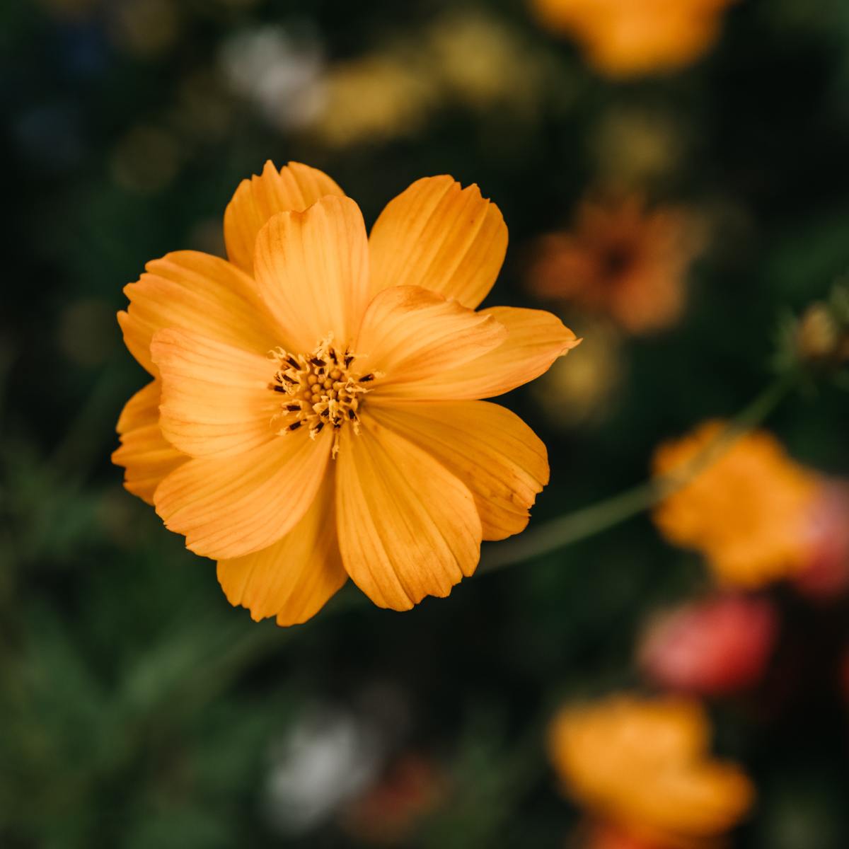 A New Day To Be&nbsp;Free!